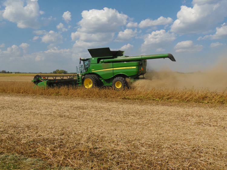 A green combine harvesting soybeans.