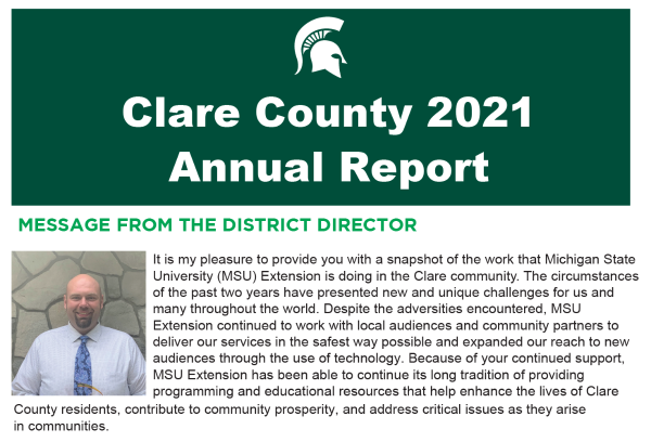front cover of the annual report with green background and white, bold font