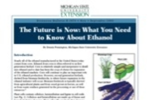 The Future is Now: What You Need to Know About Ethanol (E3076)