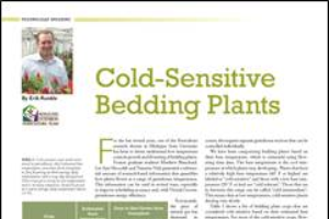 Cold-sensitive bedding plants