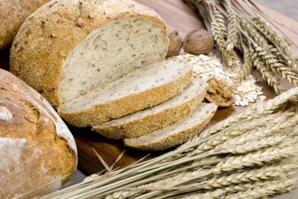 cottage-food-law