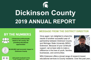Dickinson County Annual Report: 2019-2020
