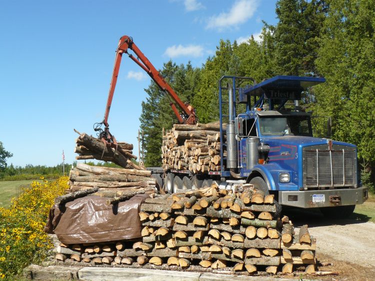 Delivery of hardwood to be processed into firewood.