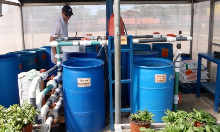 Fertilizer tanks in a greenhouse.