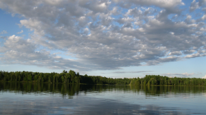 Understanding lakeshore ecosystems — Part 1
