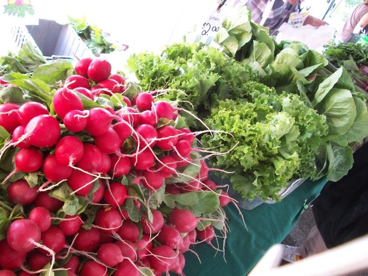 Make a your salad sing with radishes! Photo credit: Julia Darnton l MSU Extension