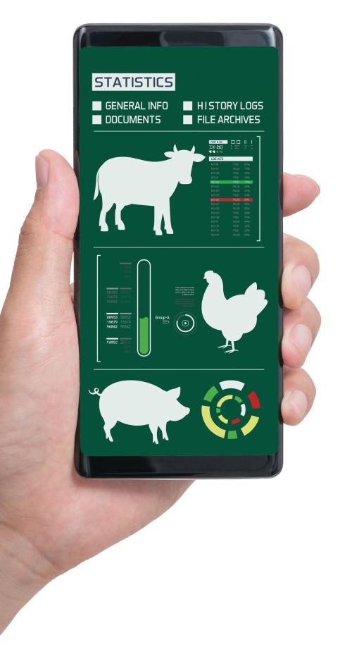 Hand with phone containing images of a cow, chicken and pig.