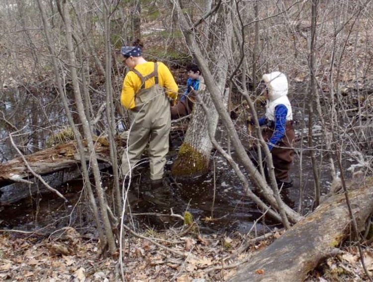 Students wade through vernal pools.