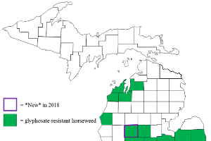 2019 status of herbicide-resistant weeds in Michigan