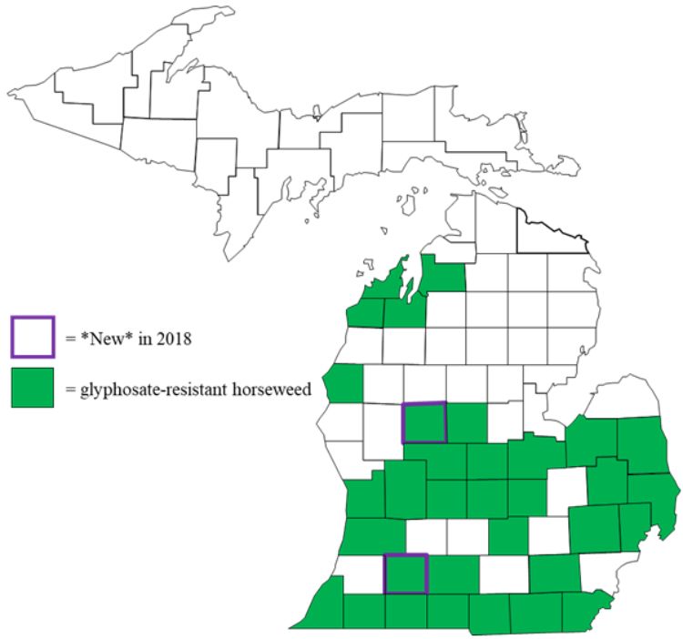 Figure 1. Distribution of glyphosate-resistant horseweed in Michigan by county.