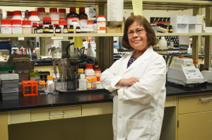 MSU researcher receives $769K grant to develop rapid test for foodborne pathogens