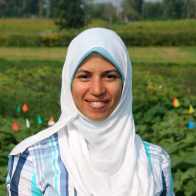 Safa Alzohairy