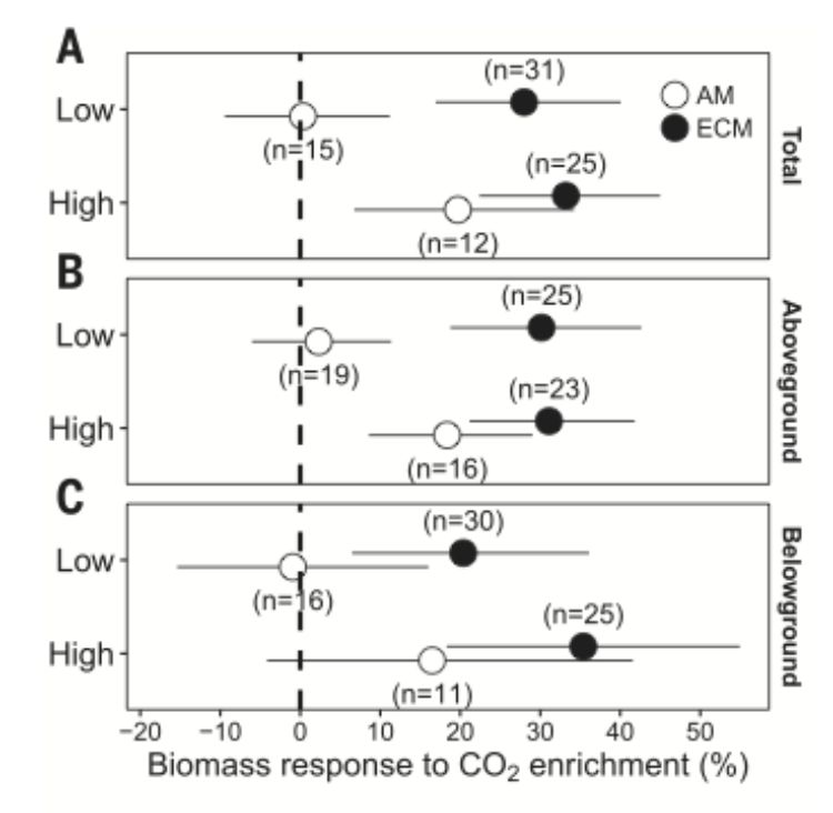 Overall effects of CO2 on plant biomass. (A to C) Effects on (A) total, (B) aboveground, and (C) belowground biomass for two types of mycorrhizal plants species (AM and ECM) in N-limited experiments (low N) or experiments that are unlikely N-limited (high N). Overall means and 95% confidence intervals are given; we interpret CO2 effects when the zero line is not crossed.