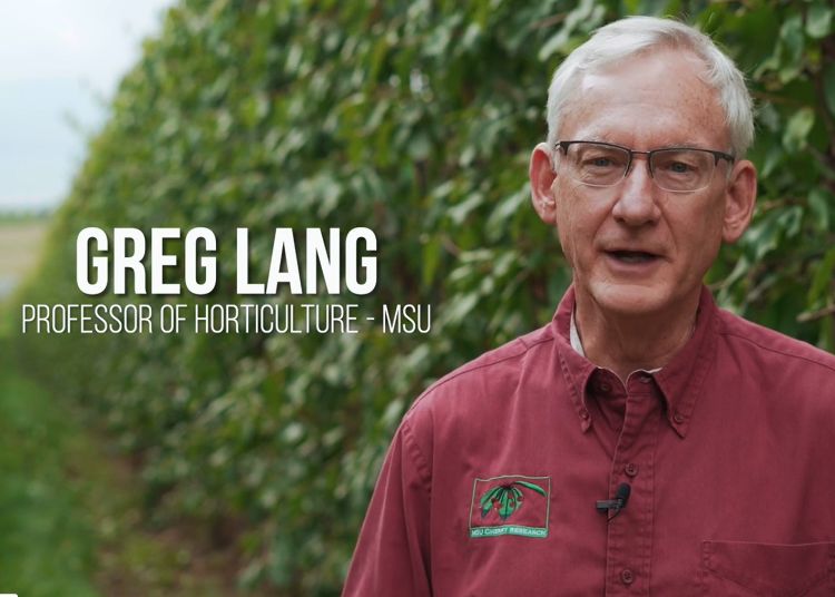 Dr. Greg Lang