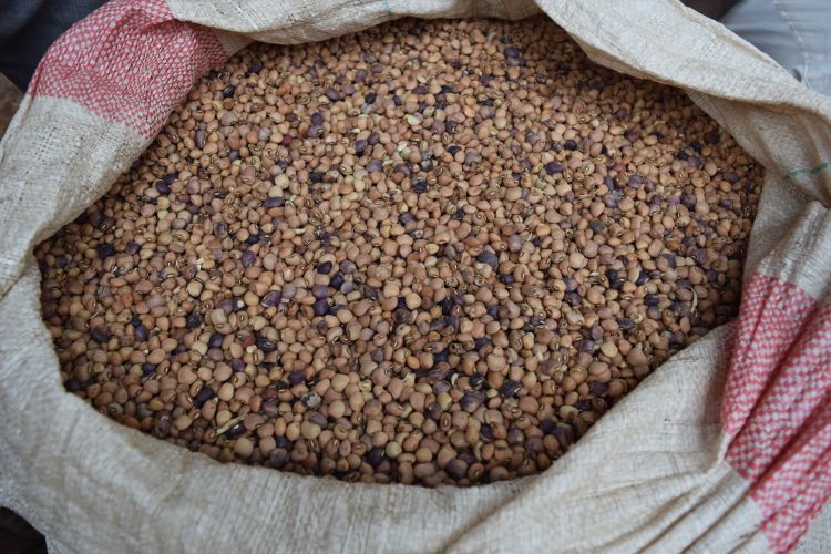 Photo of sack of dry beans