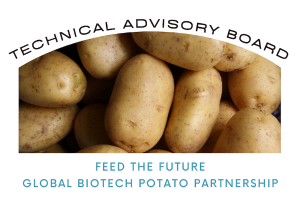Technical Advisory Board Named to Support Global Biotech Potato Partnership