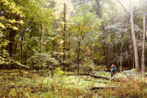 Forestry Where All Voices are Heard