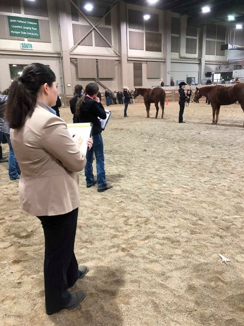 A Michigan 4-H horse judging contestant takes notes on a halter class.