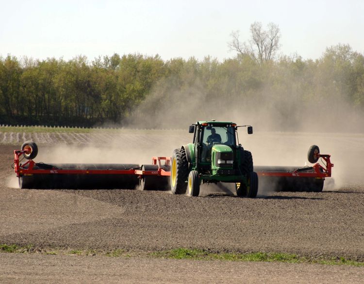 Rolling seedbeds is a way forage producers can reduce ridges and provide a smooth seedbed.