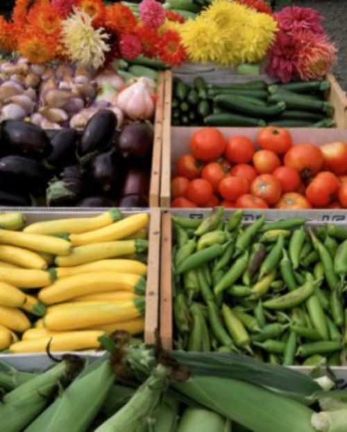 A variety of fresh produce at a farmers market.