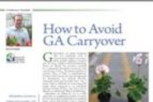 How to avoid GA carryover