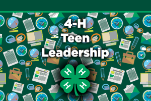 Newly revised teen leadership document is here!