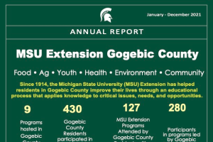 Gogebic County 2021 Annual Report