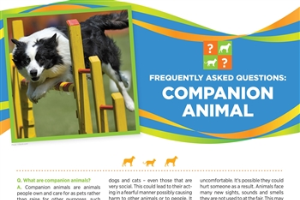4-H Animal Care & Well-Being Poster – Companion Animal 4H1698