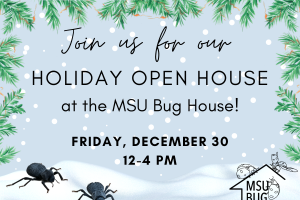 Holiday Open House 2022