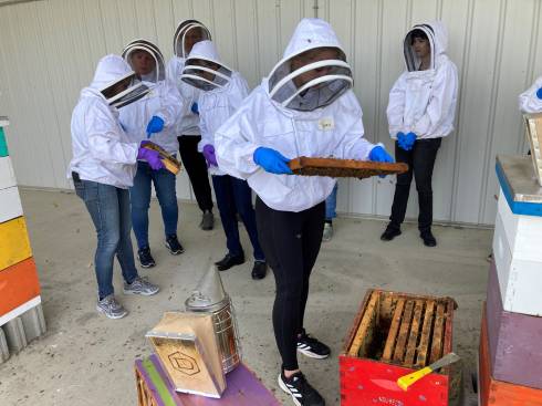 People wearing beekeeping suits look at open honey bee hive.