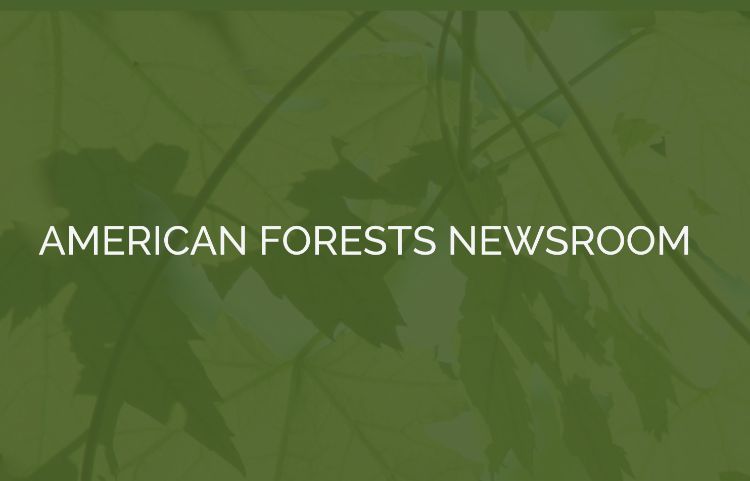 americanforests.org