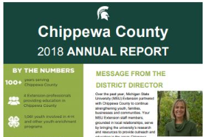 Chippewa County Annual Report: 2018