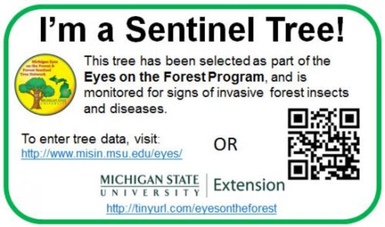 Sentinel tree tag for identification of a tree entered into the Eyes on the Forest program. | Photo by Michigan State University Extension