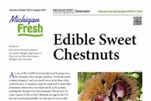 Michigan Fresh: Edible Sweet Chestnuts (E3213)