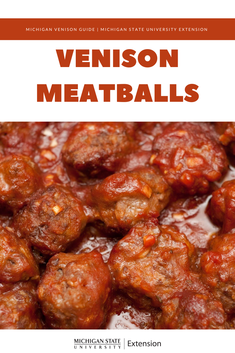 Image of the venison meatballs.