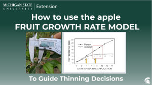 Video on how to use the fruit growth rate model for apple thinning