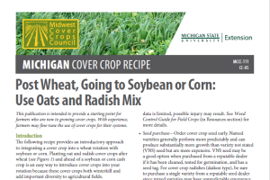 Cover Crop Recipes: Post Wheat, Going to Soybean or Corn: Use Oats and Radish Mix