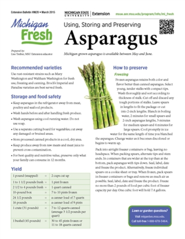 Michigan Fresh: Using, Storing, And Preserving Asparagus (Hni28) - Msu  Extension