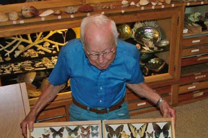 Neil Erickson donation of Lepidoptera to the ARC