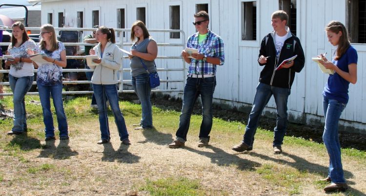 Reflecting on your fair experience will help learning come full circle. Photo credit: Steve Thelen | MSU Extension