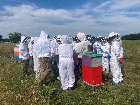Photo of beekeepers in  bee yard.