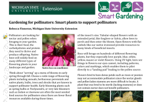 Gardening for pollinators: Smart plants to support pollinators