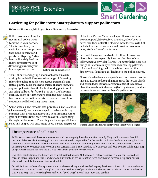 Gardening For Pollinators Smart Plants