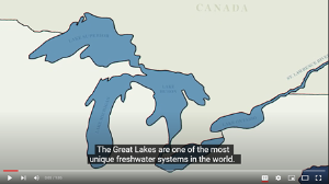 Video series highlights invasive species, their management - and some success stories