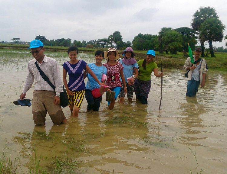 Researchers and enumerators working on rural livelihood survey in Mon State, Myanmar