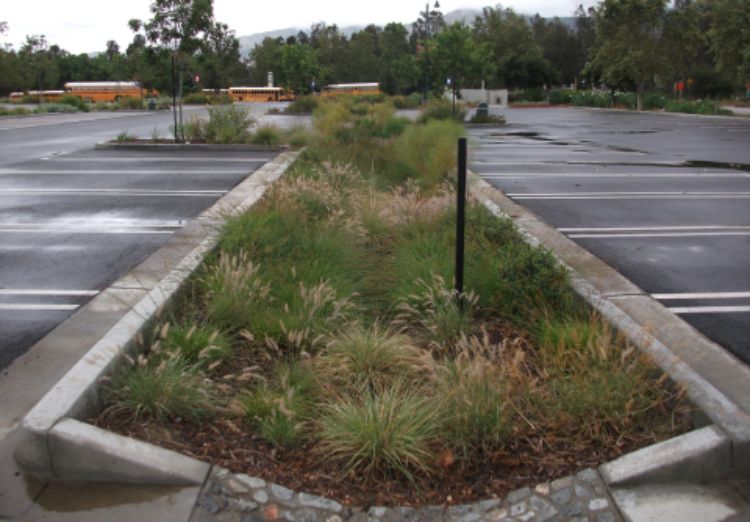 This is a bioswale at the L.A. Zoo. By centering it, run off is collected from both sections of the parking lot. 