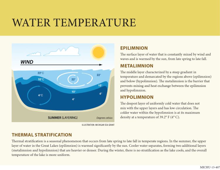 Infographic exploring the thermal stratification in the Great Lakes.