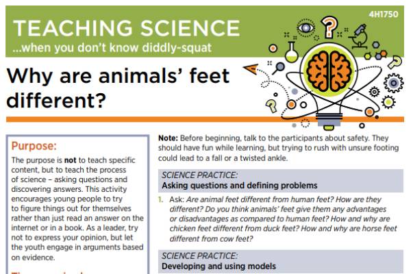 Teaching science when you don't know diddly: Why are animals' feet  different? - 4-H