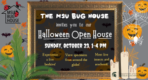 Halloween Open House with ArachnoBROADia