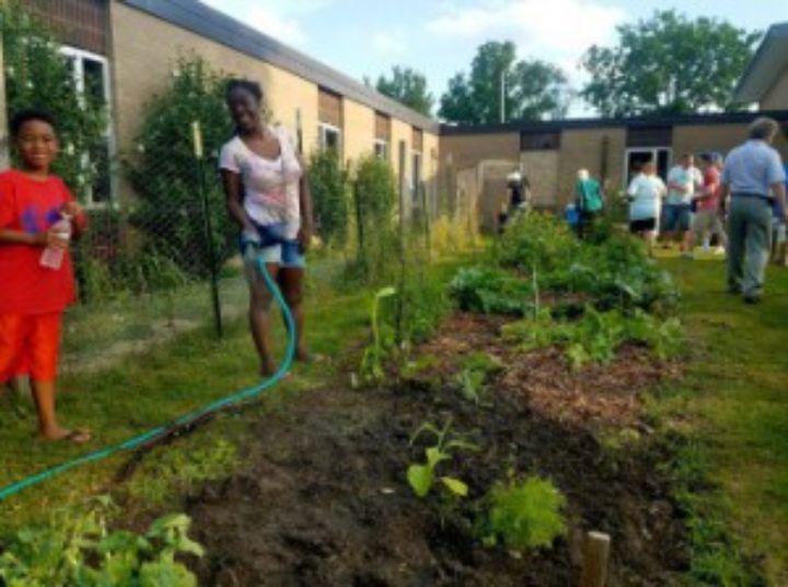 Greater Lansing Food Bank Garden Project Improves Food Access And